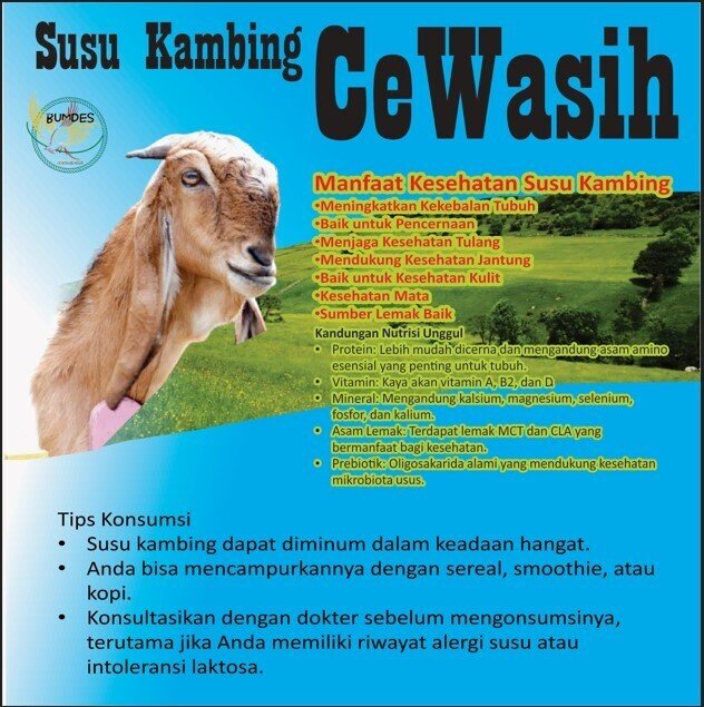 susu kambing